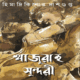 খাজুরাহ সুন্দরী PDF - হিমাদ্রিকিশোর দাশগুপ্ত | Khajuraho Sundori PDF
